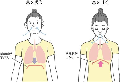 性行為 過呼吸について 